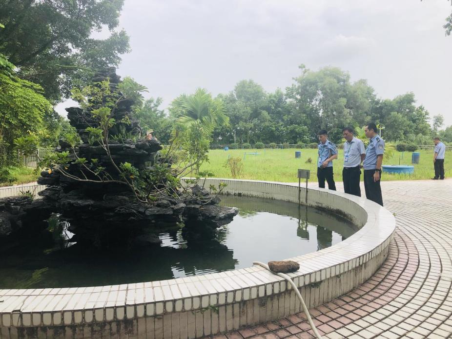 1603108722903393.jpg 5.jpg